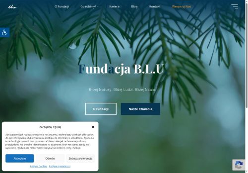 fundacjablu.pl