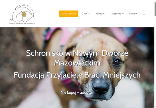 fundacjapsom.pl