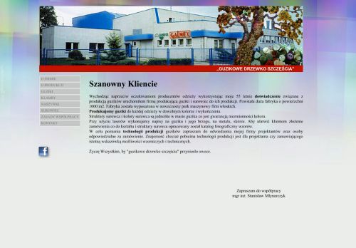 galmex.com.pl