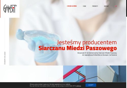 gambitkutno.pl