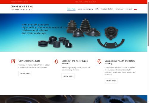 gamsystem.pl