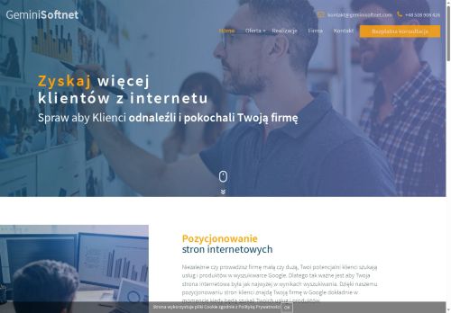 geminisoftnet.com
