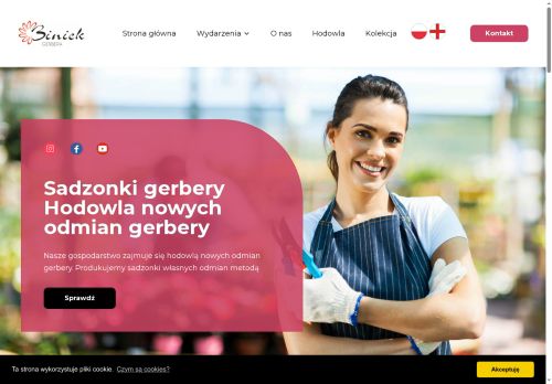 gerbera-plants.com