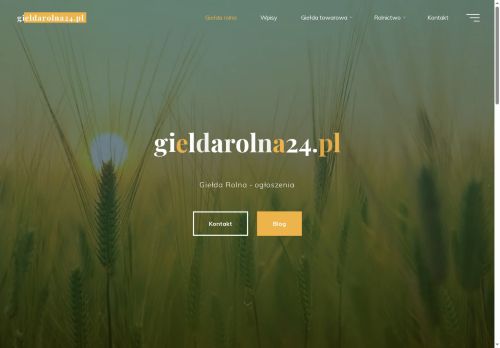 gieldarolna24.pl
