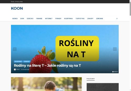 gosposia.koon.pl