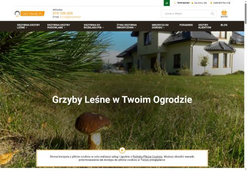 grzybnie.pl
