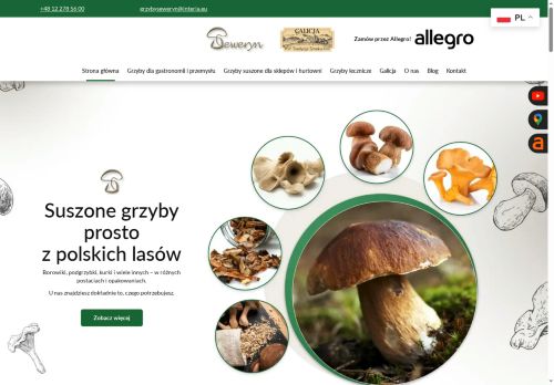 grzybylesne.eu