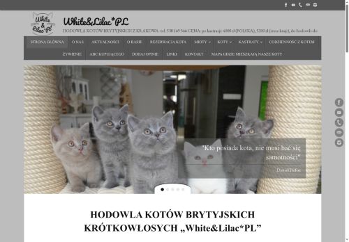 hodowlakotybrytyjskie.pl