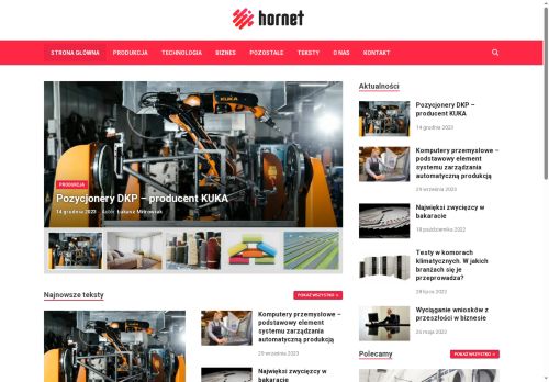 hornet.waw.pl