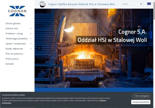hsjsa.pl