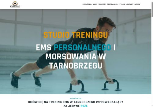 icekingstudio.pl