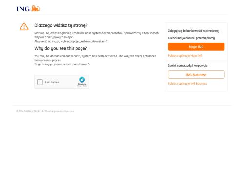 ing.pl