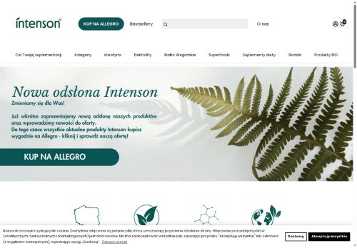 intenson.pl