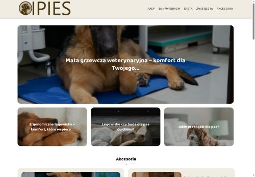 ipies.pl