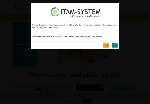 itam-system.com