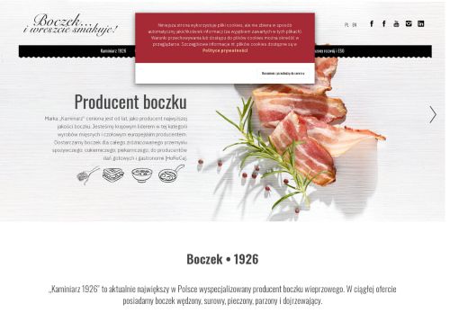 kaminiarz.pl