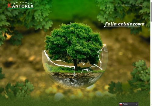 kantorex.pl