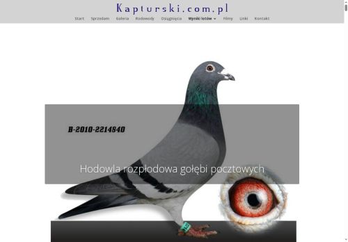 kapturski.com.pl