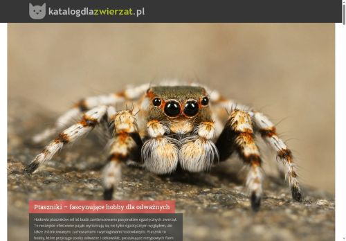 katalogdlazwierzat.pl