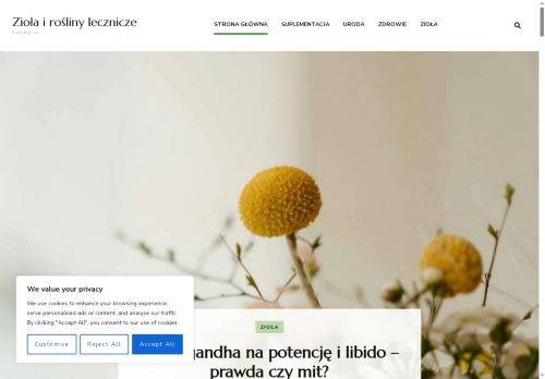 katalogi.pl