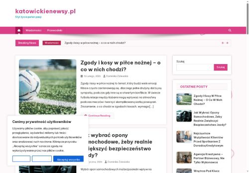 katowickienewsy.pl