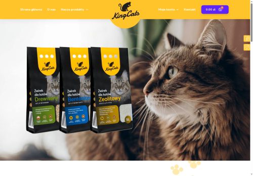 kingcats.pl