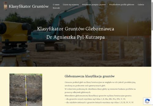 klasyfikator.pl