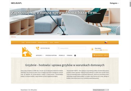 kmzlublin.pl