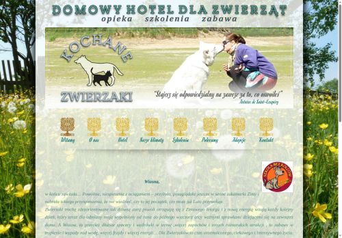 kochanezwierzaki.com.pl