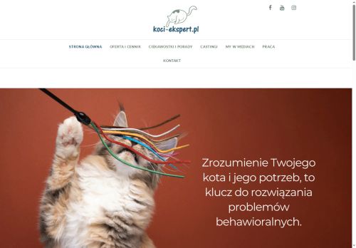 koci-ekspert.pl