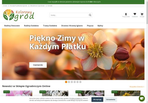 kolorowy-ogrod.com