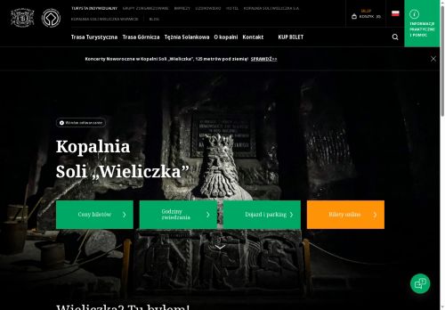 kopalnia.pl