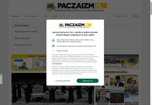 kotburger.pl