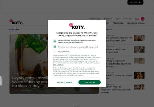 koty.pl