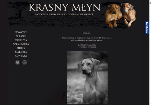krasnymlyn.pl