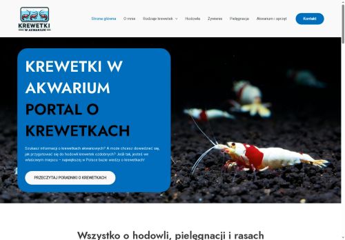 krewetkiwakwarium.pl
