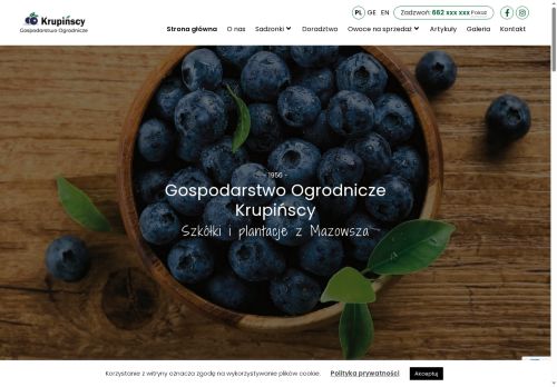 krupinscy.com