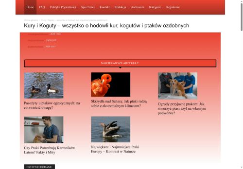 kuryikoguty.pl
