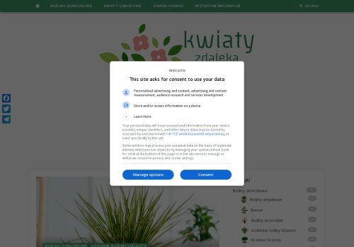 kwiatyzdaleka.pl