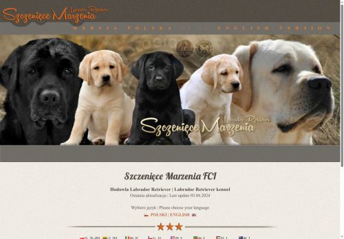 labrador-retriever.pl