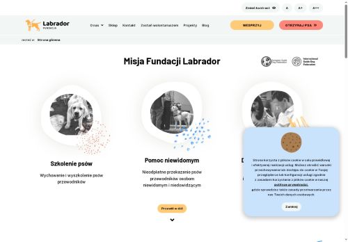 labrador.pl