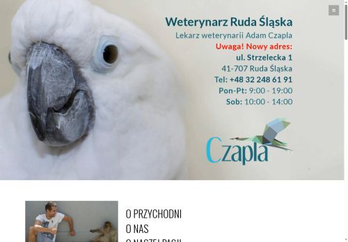 lecznica.biz