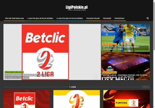 ligipolskie.pl