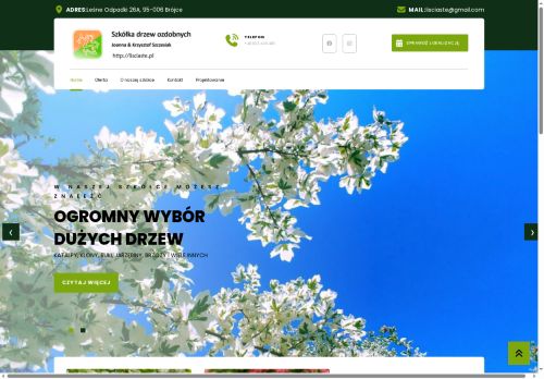 lisciaste.pl