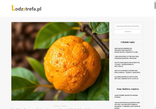 lodzstrefa.pl