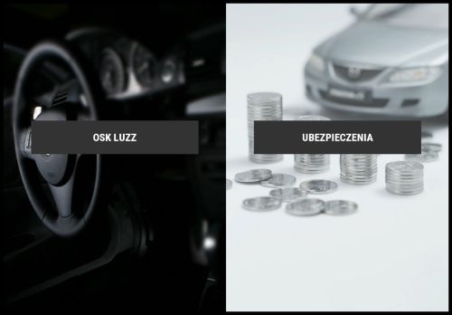 luzz.pl