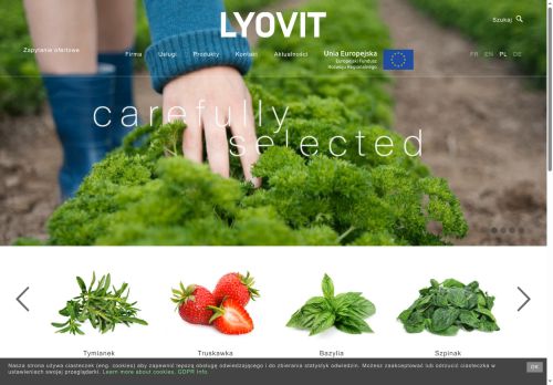 lyovit.com.pl