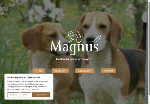 magnuspsy.pl