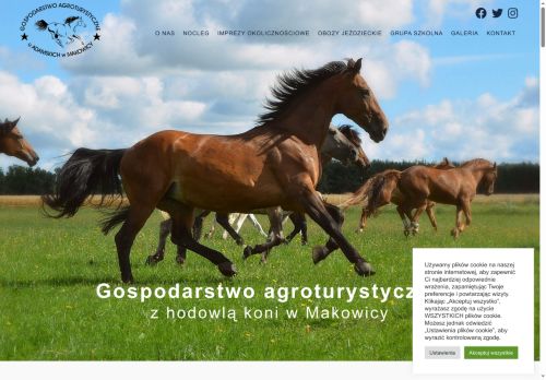 makowica.pl