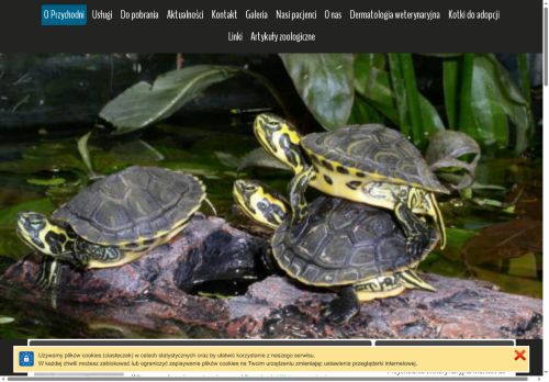 marwet-turka.pl